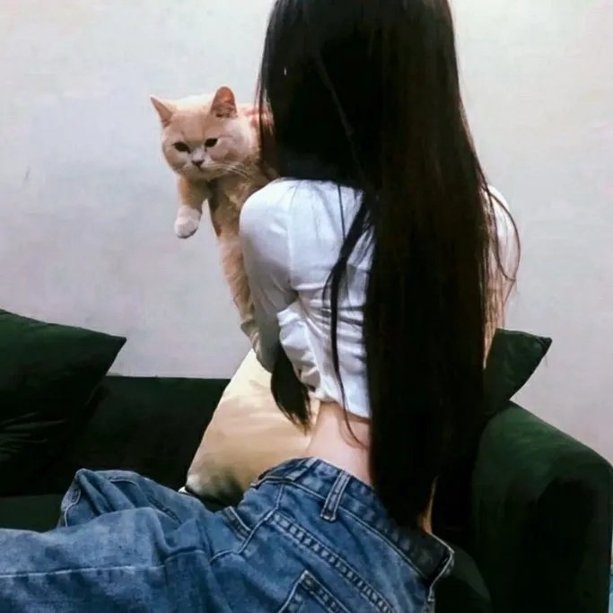 我的黑帮恋人